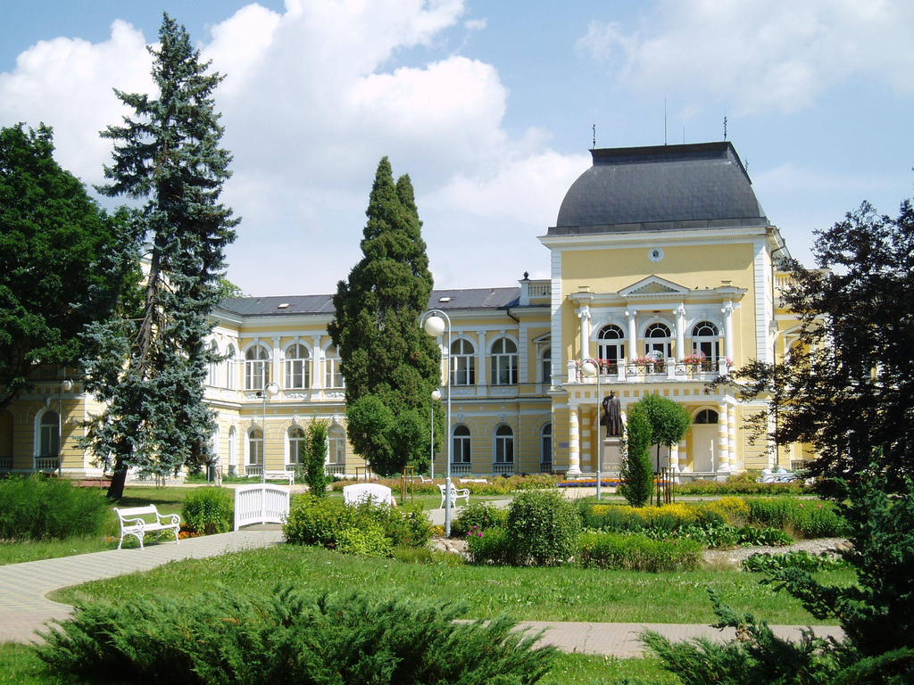 Františkovy Lázně Dr. Adler Spa & Kurhotel מראה חיצוני תמונה
